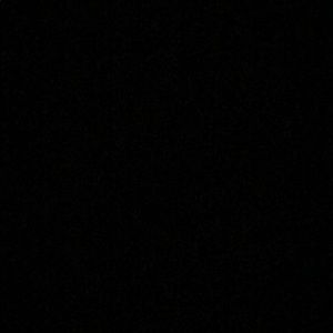 Meet your Posher, Yonnie